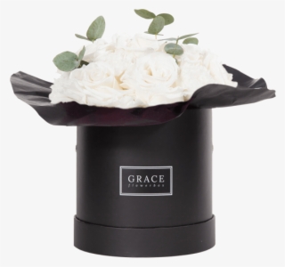 White Carnation - White