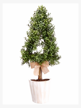 30" Cone-shaped Boxwood Wall Topiary In Pot Green - Flowerpot