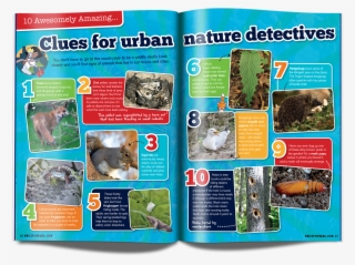 #blingyhedgehogpoo Hashtag On Twitter - Mouse