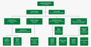 Division Of Institutional Equity & Diversity Org Chart - Equity
