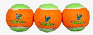 Squeaky Tennis Balls - Tennis