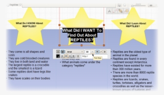Creately Diagrams For Education - Toolbar