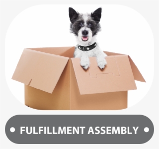 Fa Button - Stock Photography