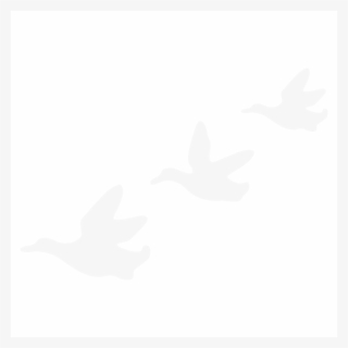 Flying Ducks On Wall Uk