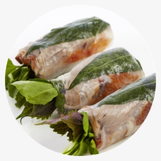 Roast Duck - Duck Meat