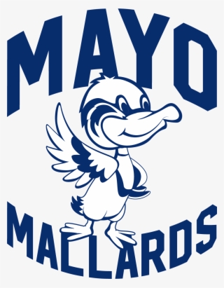 Mayo Elementary School Pto