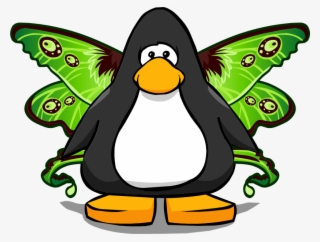 Moth Wings On Player Card - Club Penguin