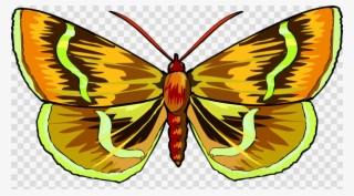 Colorful Butterfly Clipart Monarch Butterfly Brush-footed - Clip Art