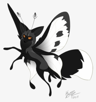 Silver Fox Flutterfox