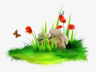 Sea Grass Png
