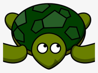 Sea Turtle Clipart