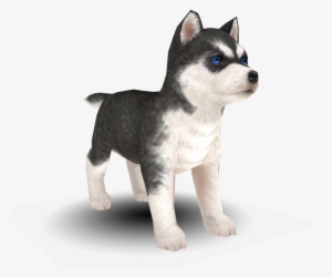 Download Zip Archive - Dog