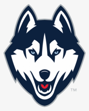 Drawn Husky Uconn Husky - Husky Logo