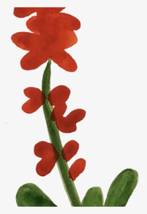 Red Flower