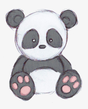 Cute Panda Drawing Tumblr Why Are You Reporting This - Drawings Of Cute Cartoons