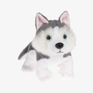 Winners Announced Siberian Husky Name Me Contest - Webkinz Starter Kit