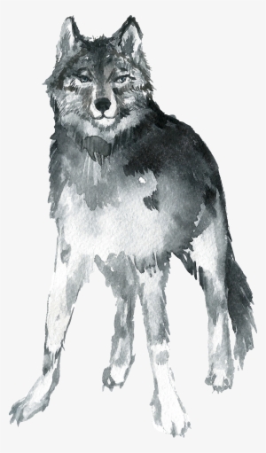 Mackenzie River Husky