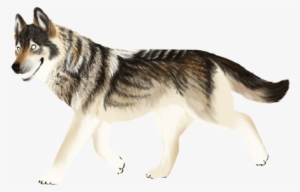 Wolfdye - Miniature Siberian Husky