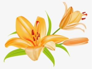 Orange Flower Clipart Single Flower - Lily Clip Art