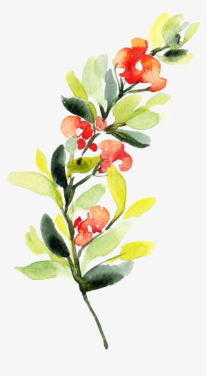 0℃素材74 - Zazzle Aquarell-bunter Blumenstrauß Gr1 Hülle Fürs