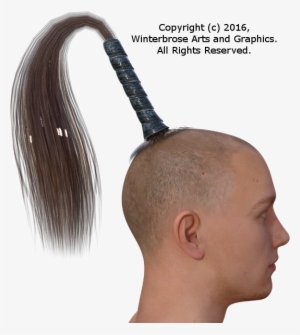 Genesis 3 Male - Horse Tail Hair