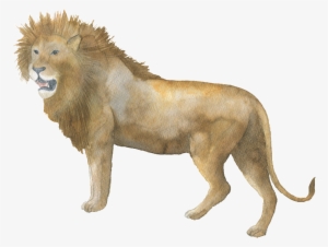 Brown Lion Watercolor Transparent Decorative Pattern - Jeeves & Co. Design Studio 10 Personalised Safari