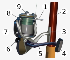 Compared To The Fishing Rod, The Reel Can Be Broken - Parts Of A Fishing Reel