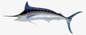 Marlin - Swordfish Png