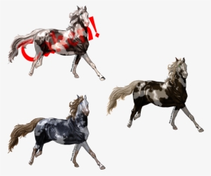 Cheap Paint Horse Adoptables By Renegade On - Horse