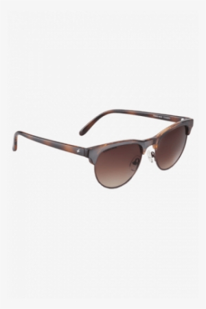 Fastrack Mens Gradient Sunglasses - Sunglasses