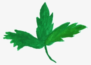 Free Download - Portable Network Graphics