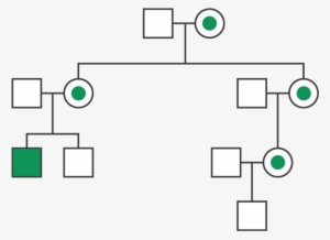 Pedigree Analysis Diagram - Diagram