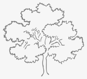 Example 1 In Black/white - Clip Art Trees Black And White
