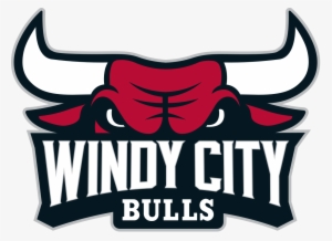 Chicago Windy City Bulls