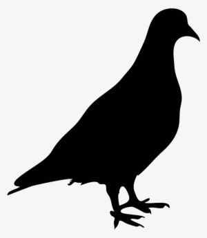 Pigeon Clipart Pegon Source - Silhouette Of Pigeon