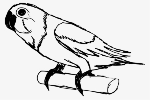 Png File Size - Drawing