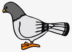 How To Set Use Cartoon Pigeon Svg Vector