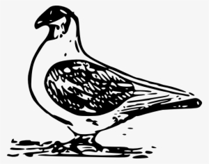Pigeon Svg Clip Arts 600 X 472 Px