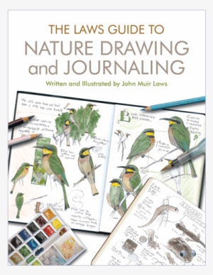 Nature Drawing And Journaling - Laws Guide To Nature Drawing And Journaling (paperback)