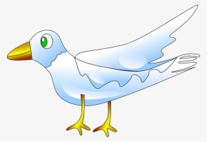 Bird, Animal, Fly, Nature, Dove, White, Pigeon - White Pigeons In Nature