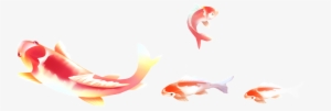 Hand Drawn Cartoon Goldfish Png - Portable Network Graphics