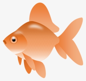 Fish Vector Goldfish - Fish Clip Art Png Transparent