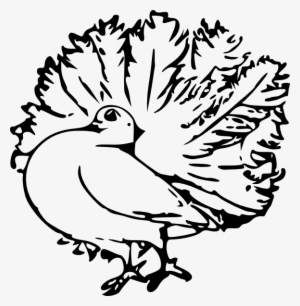 Pigeon Svg Clip Arts 582 X 595 Px