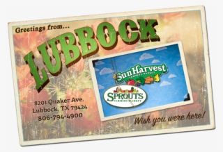 Lubbock In My Rear View Mirror - Chef Masterpiece Organic Seasonal Coffee Summer, Orange