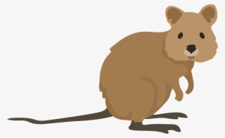 Quentin - - Quokka Cartoon