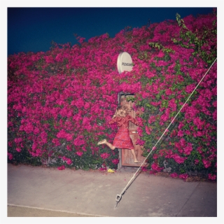 Feist I Wish I Didn T Miss You