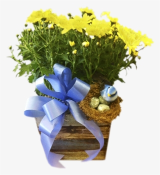 Home Sweet Home - Crystal Gardens Florist