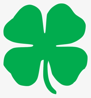 Shamrock