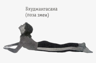 Бхуджангасана - Bhujangasana