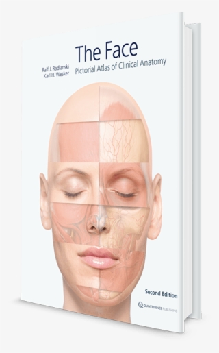 Twarz. Atlas Anatomii Klinicznej
